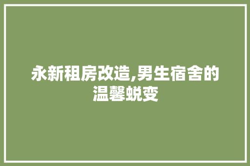 永新租房改造,男生宿舍的温馨蜕变
