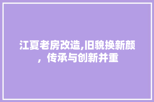 江夏老房改造,旧貌换新颜，传承与创新并重