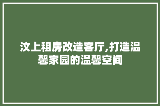 汶上租房改造客厅,打造温馨家园的温馨空间