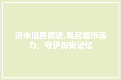 沂水旧房改造,唤起城市活力，守护历史记忆