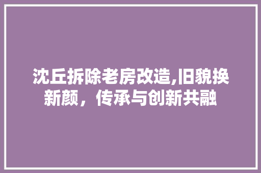 沈丘拆除老房改造,旧貌换新颜，传承与创新共融