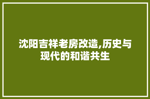 沈阳吉祥老房改造,历史与现代的和谐共生