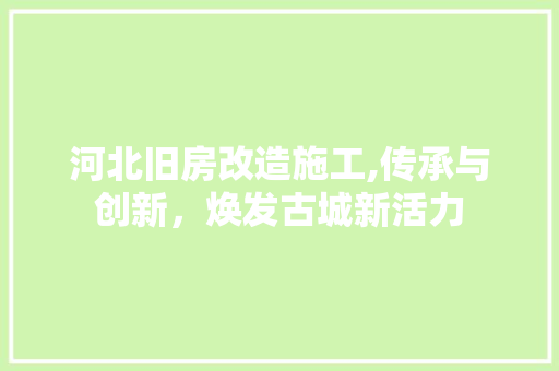 河北旧房改造施工,传承与创新，焕发古城新活力