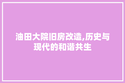 油田大院旧房改造,历史与现代的和谐共生