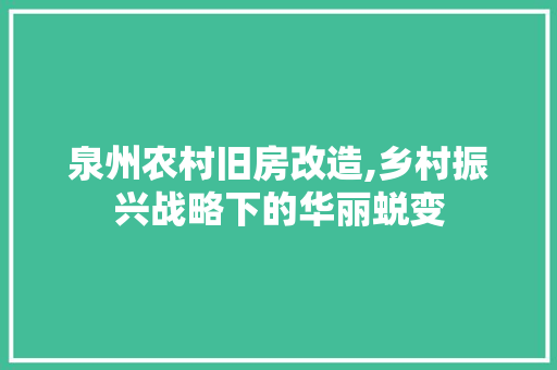 泉州农村旧房改造,乡村振兴战略下的华丽蜕变