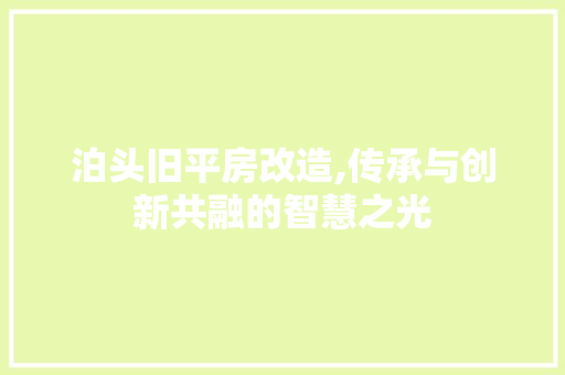 泊头旧平房改造,传承与创新共融的智慧之光