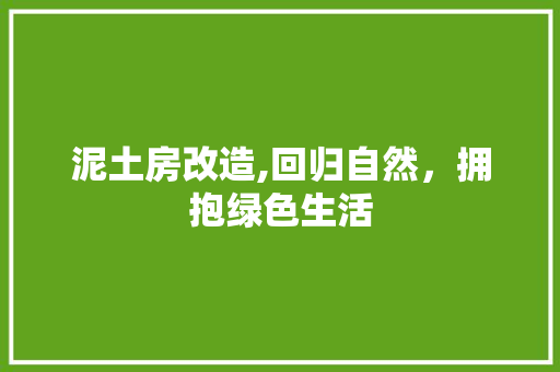 泥土房改造,回归自然，拥抱绿色生活
