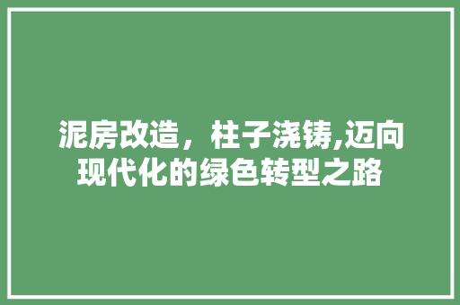 泥房改造，柱子浇铸,迈向现代化的绿色转型之路
