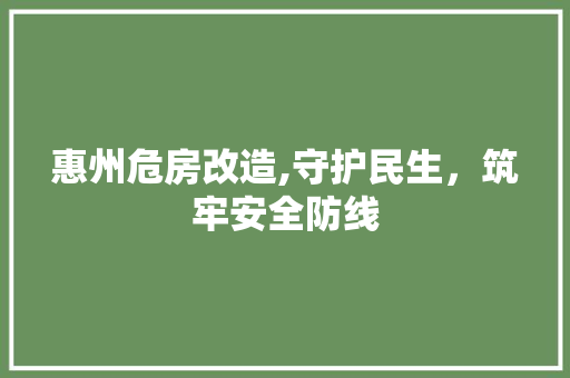 惠州危房改造,守护民生，筑牢安全防线