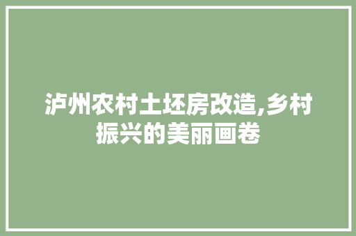 泸州农村土坯房改造,乡村振兴的美丽画卷