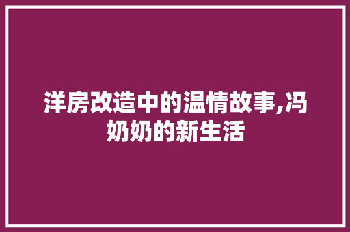 洋房改造中的温情故事,冯奶奶的新生活