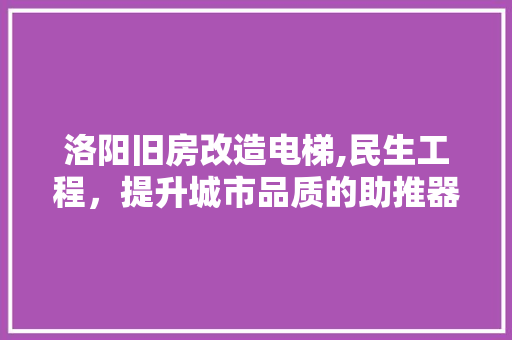洛阳旧房改造电梯,民生工程，提升城市品质的助推器