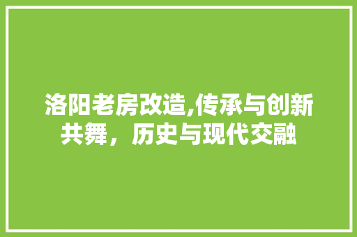 洛阳老房改造,传承与创新共舞，历史与现代交融