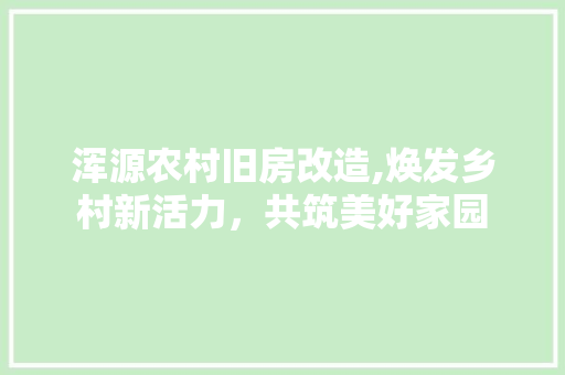 浑源农村旧房改造,焕发乡村新活力，共筑美好家园