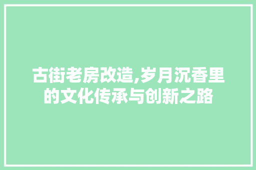 古街老房改造,岁月沉香里的文化传承与创新之路