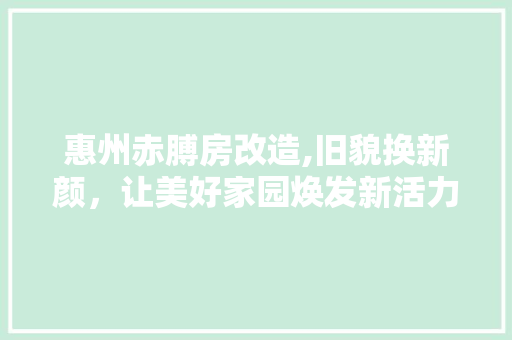 惠州赤膊房改造,旧貌换新颜，让美好家园焕发新活力