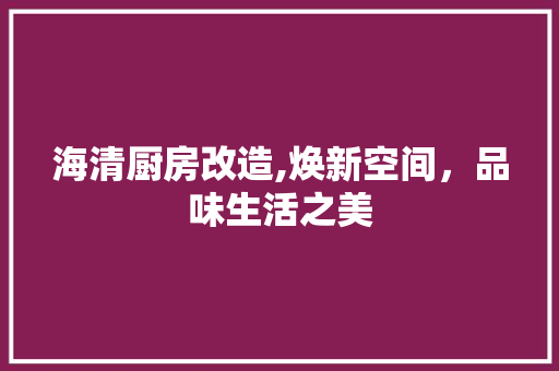海清厨房改造,焕新空间，品味生活之美