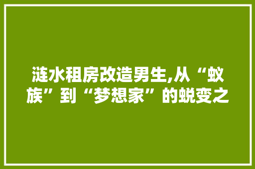 涟水租房改造男生,从“蚁族”到“梦想家”的蜕变之旅