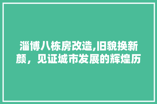 淄博八栋房改造,旧貌换新颜，见证城市发展的辉煌历程