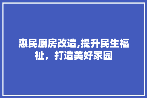 惠民厨房改造,提升民生福祉，打造美好家园
