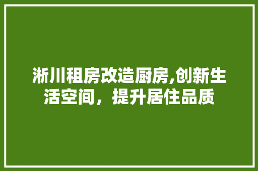 淅川租房改造厨房,创新生活空间，提升居住品质