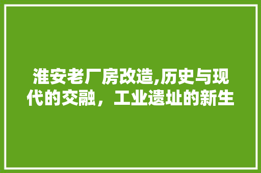 淮安老厂房改造,历史与现代的交融，工业遗址的新生