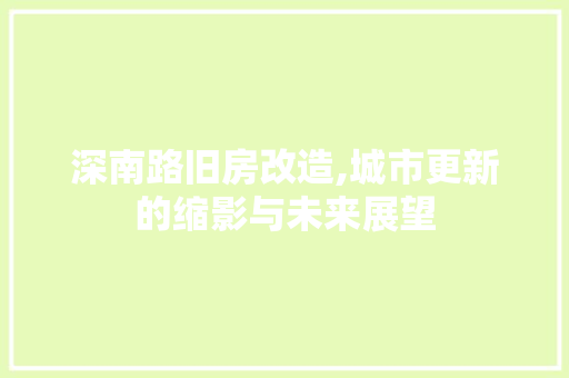 深南路旧房改造,城市更新的缩影与未来展望