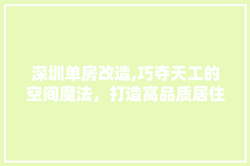 深圳单房改造,巧夺天工的空间魔法，打造高品质居住环境