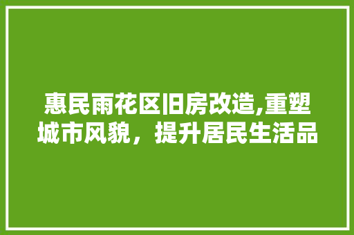 惠民雨花区旧房改造,重塑城市风貌，提升居民生活品质