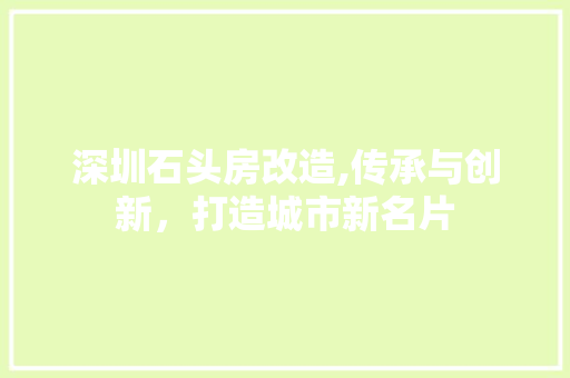 深圳石头房改造,传承与创新，打造城市新名片