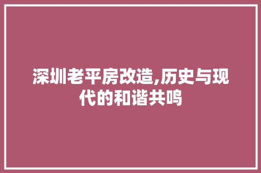 深圳老平房改造,历史与现代的和谐共鸣