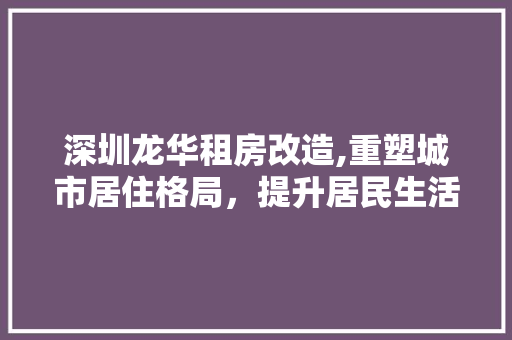 深圳龙华租房改造,重塑城市居住格局，提升居民生活品质
