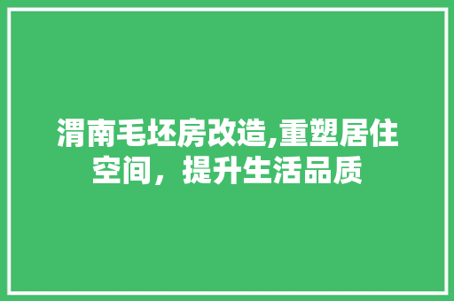渭南毛坯房改造,重塑居住空间，提升生活品质