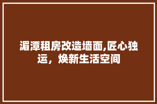 湄潭租房改造墙面,匠心独运，焕新生活空间
