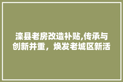 滦县老房改造补贴,传承与创新并重，焕发老城区新活力