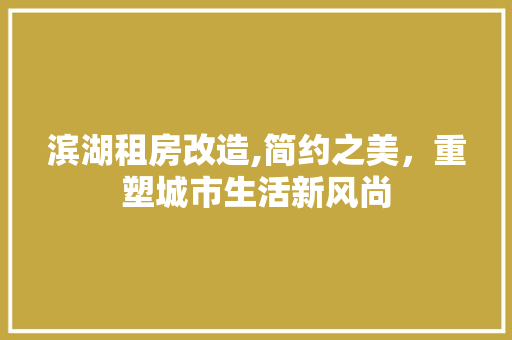 滨湖租房改造,简约之美，重塑城市生活新风尚