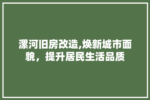 漯河旧房改造,焕新城市面貌，提升居民生活品质