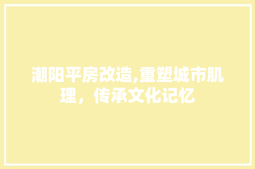 潮阳平房改造,重塑城市肌理，传承文化记忆