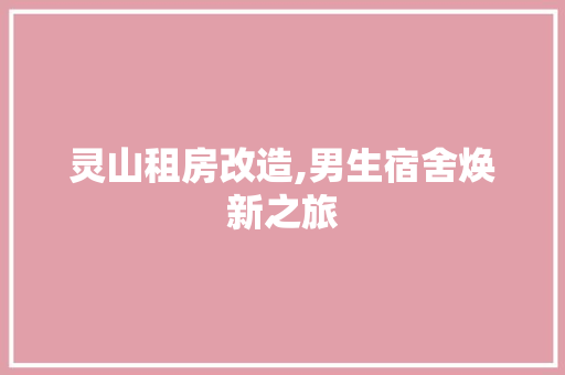 灵山租房改造,男生宿舍焕新之旅