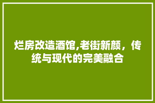 烂房改造酒馆,老街新颜，传统与现代的完美融合