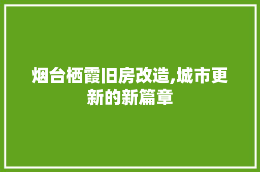 烟台栖霞旧房改造,城市更新的新篇章