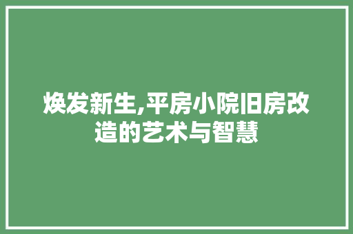 焕发新生,平房小院旧房改造的艺术与智慧