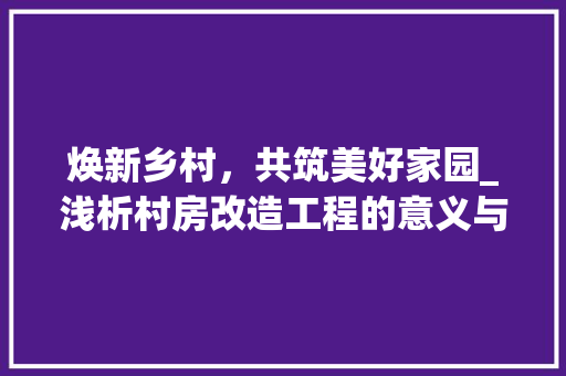 焕新乡村，共筑美好家园_浅析村房改造工程的意义与方法