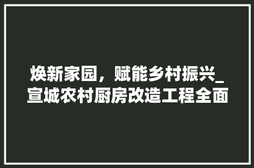 焕新家园，赋能乡村振兴_宣城农村厨房改造工程全面启动