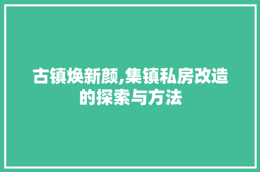 古镇焕新颜,集镇私房改造的探索与方法