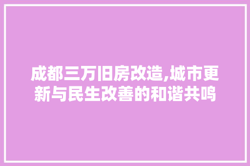成都三万旧房改造,城市更新与民生改善的和谐共鸣
