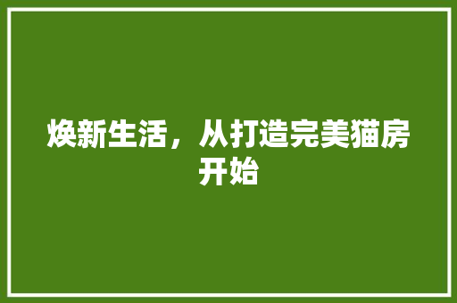 焕新生活，从打造完美猫房开始