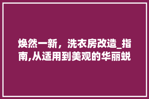 焕然一新，洗衣房改造_指南,从适用到美观的华丽蜕变