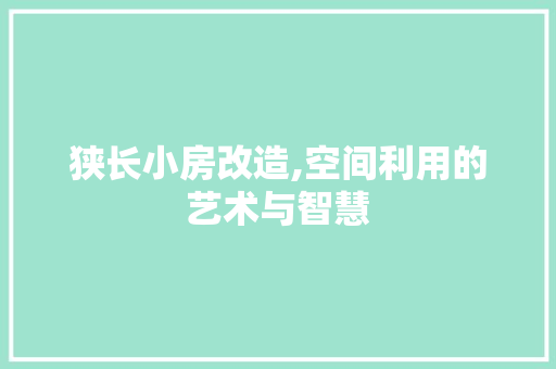 狭长小房改造,空间利用的艺术与智慧