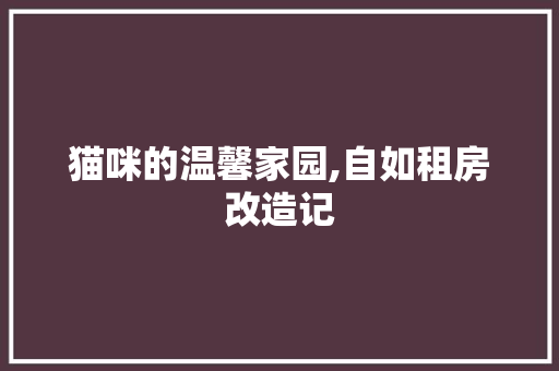 猫咪的温馨家园,自如租房改造记